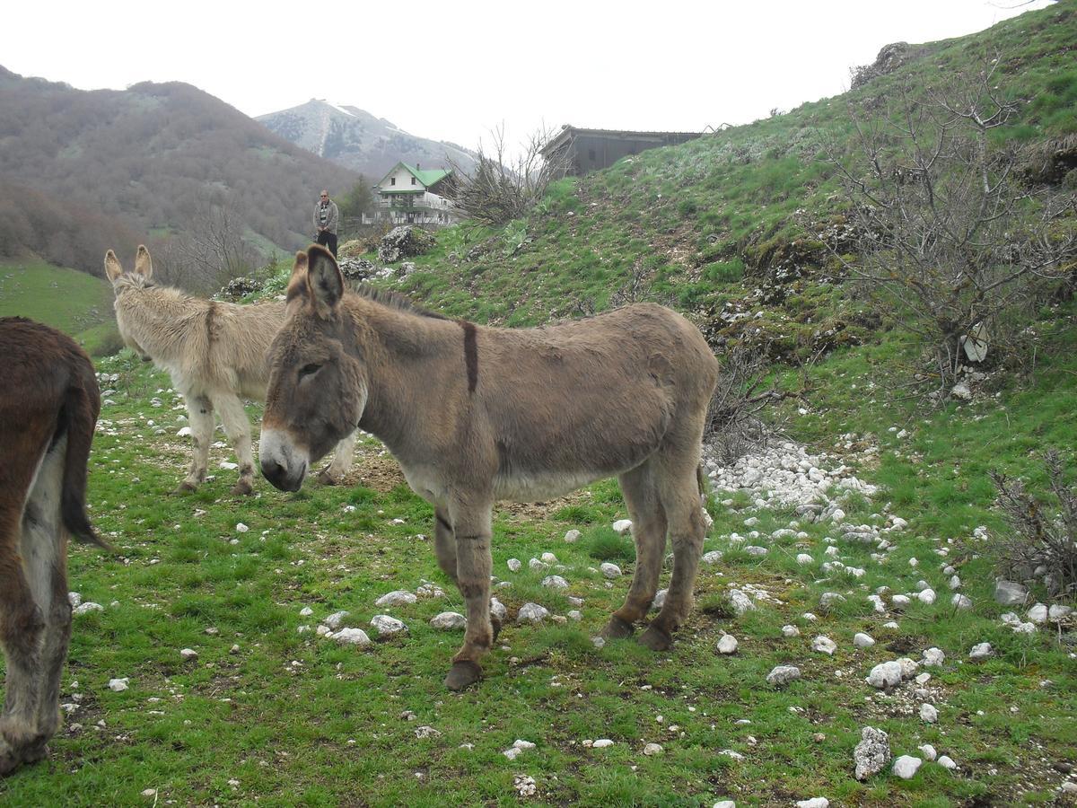 Hotel Valle Del Lupo Pescasseroli Luaran gambar
