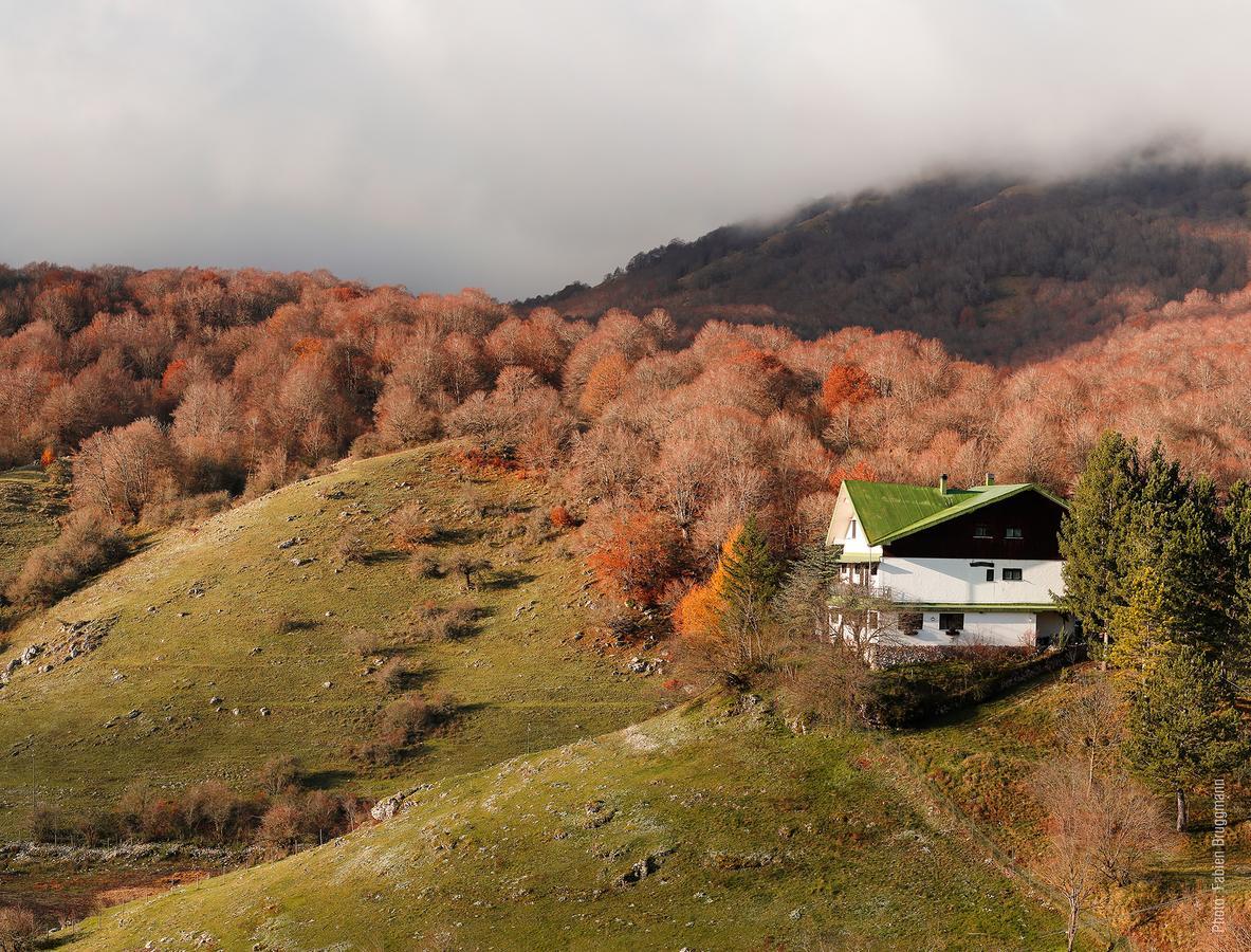 Hotel Valle Del Lupo Pescasseroli Luaran gambar